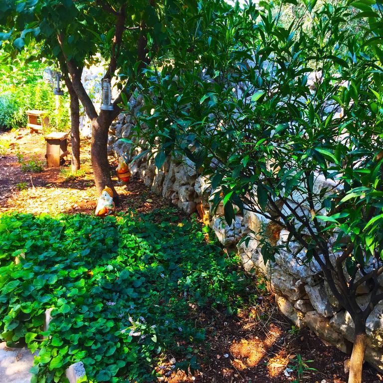Masseria Nenetta Bed And Breakfast Monopoli Εξωτερικό φωτογραφία
